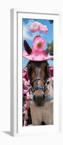 ¡Viva Mexico! Panoramic Collection - Horse with Pink Hat-Philippe Hugonnard-Framed Photographic Print