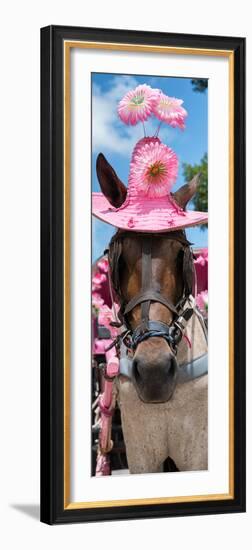 ¡Viva Mexico! Panoramic Collection - Horse with Pink Hat-Philippe Hugonnard-Framed Photographic Print