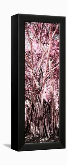 ¡Viva Mexico! Panoramic Collection - Jungle Trees II-Philippe Hugonnard-Framed Premier Image Canvas