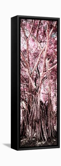 ¡Viva Mexico! Panoramic Collection - Jungle Trees II-Philippe Hugonnard-Framed Premier Image Canvas