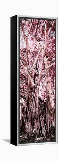 ¡Viva Mexico! Panoramic Collection - Jungle Trees II-Philippe Hugonnard-Framed Premier Image Canvas