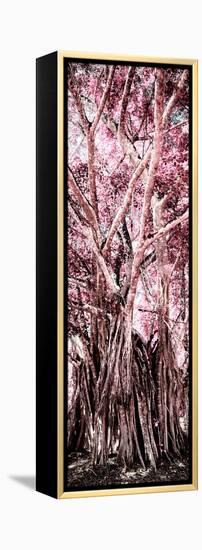 ¡Viva Mexico! Panoramic Collection - Jungle Trees II-Philippe Hugonnard-Framed Premier Image Canvas