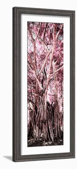 ¡Viva Mexico! Panoramic Collection - Jungle Trees II-Philippe Hugonnard-Framed Photographic Print