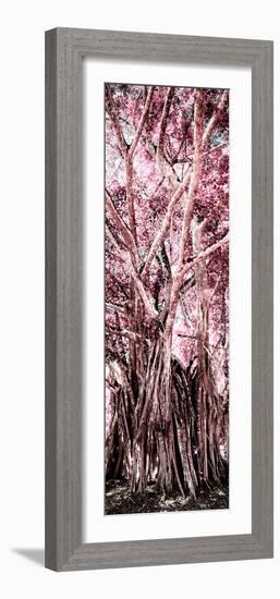 ¡Viva Mexico! Panoramic Collection - Jungle Trees II-Philippe Hugonnard-Framed Photographic Print