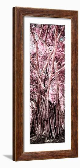 ¡Viva Mexico! Panoramic Collection - Jungle Trees II-Philippe Hugonnard-Framed Photographic Print