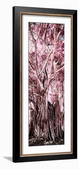 ¡Viva Mexico! Panoramic Collection - Jungle Trees II-Philippe Hugonnard-Framed Photographic Print