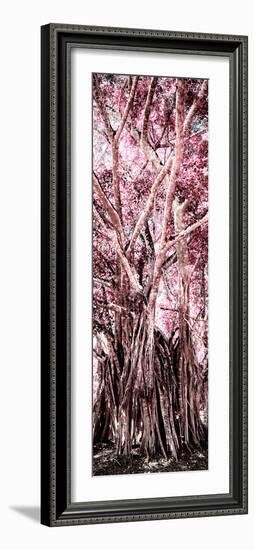 ¡Viva Mexico! Panoramic Collection - Jungle Trees II-Philippe Hugonnard-Framed Photographic Print