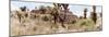 ¡Viva Mexico! Panoramic Collection - Pyramid of Cantona Archaeological Site I-Philippe Hugonnard-Mounted Photographic Print