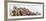 ¡Viva Mexico! Panoramic Collection - Pyramid of Cantona Archaeological Site VII-Philippe Hugonnard-Framed Photographic Print