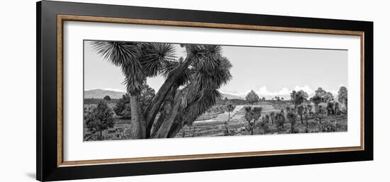 ¡Viva Mexico! Panoramic Collection - Pyramid of Cantona - Puebla IX-Philippe Hugonnard-Framed Photographic Print