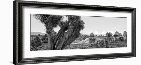 ¡Viva Mexico! Panoramic Collection - Pyramid of Cantona - Puebla IX-Philippe Hugonnard-Framed Photographic Print