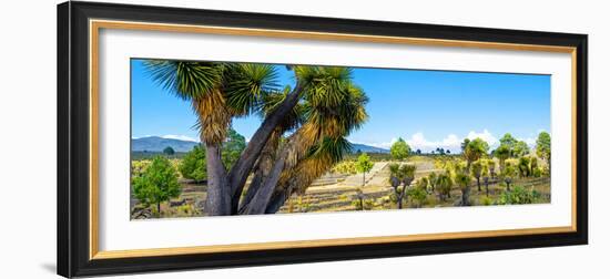 ¡Viva Mexico! Panoramic Collection - Pyramid of Cantona - Puebla VIII-Philippe Hugonnard-Framed Photographic Print