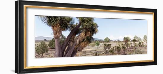 ¡Viva Mexico! Panoramic Collection - Pyramid of Cantona - Puebla X-Philippe Hugonnard-Framed Photographic Print