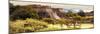 ¡Viva Mexico! Panoramic Collection - Pyramid of Monte Alban with Fall Colors II-Philippe Hugonnard-Mounted Photographic Print