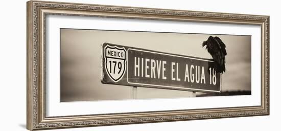 ¡Viva Mexico! Panoramic Collection - Vulture II-Philippe Hugonnard-Framed Photographic Print