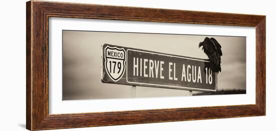 ¡Viva Mexico! Panoramic Collection - Vulture II-Philippe Hugonnard-Framed Photographic Print