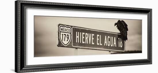 ¡Viva Mexico! Panoramic Collection - Vulture II-Philippe Hugonnard-Framed Photographic Print