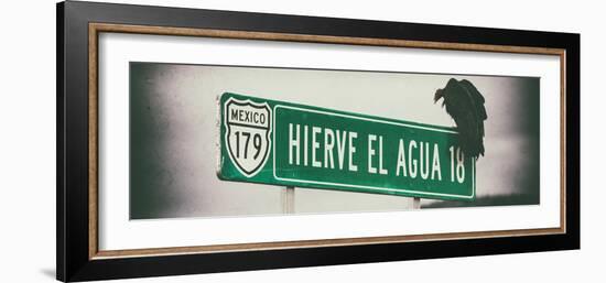 ¡Viva Mexico! Panoramic Collection - Vulture III-Philippe Hugonnard-Framed Photographic Print