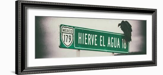 ¡Viva Mexico! Panoramic Collection - Vulture III-Philippe Hugonnard-Framed Photographic Print