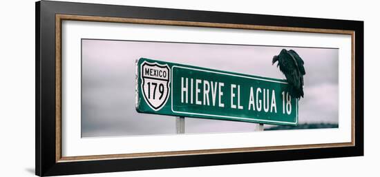 ¡Viva Mexico! Panoramic Collection - Vulture-Philippe Hugonnard-Framed Photographic Print