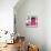 ¡Viva Mexico! Square Collection - "ALASKA" Pink Bar-Philippe Hugonnard-Mounted Photographic Print displayed on a wall