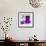 ¡Viva Mexico! Square Collection - "ALASKA" Purple Bar-Philippe Hugonnard-Framed Photographic Print displayed on a wall