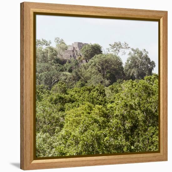 ¡Viva Mexico! Square Collection - Ancient Maya City within the Jungle - Calakmul III-Philippe Hugonnard-Framed Premier Image Canvas