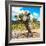 ¡Viva Mexico! Square Collection - Cactus Desert III-Philippe Hugonnard-Framed Photographic Print