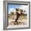 ?Viva Mexico! Square Collection - Cactus Desert IV-Philippe Hugonnard-Framed Photographic Print