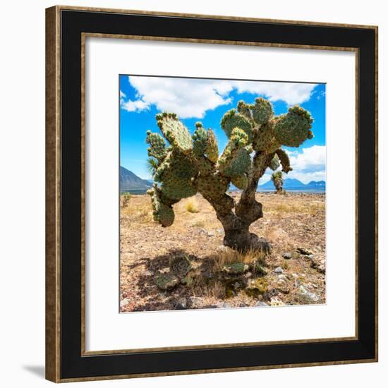 ¡Viva Mexico! Square Collection - Cactus II-Philippe Hugonnard-Framed Photographic Print