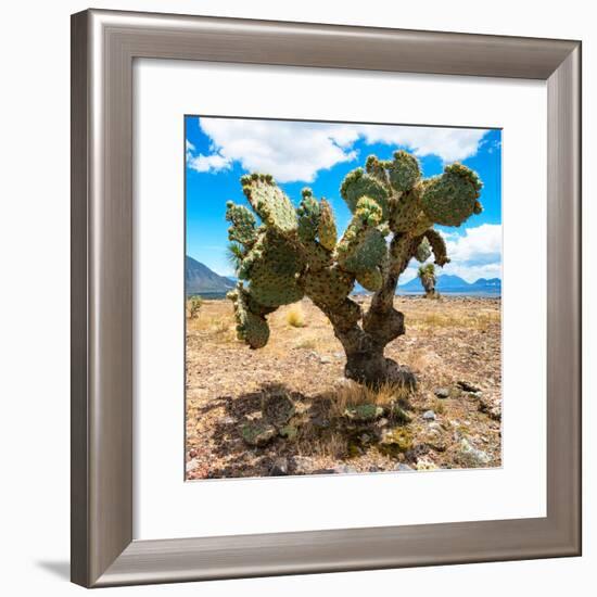 ¡Viva Mexico! Square Collection - Cactus II-Philippe Hugonnard-Framed Photographic Print