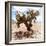 ?Viva Mexico! Square Collection - Cactus III-Philippe Hugonnard-Framed Photographic Print