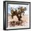 ?Viva Mexico! Square Collection - Cactus III-Philippe Hugonnard-Framed Photographic Print