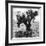 ¡Viva Mexico! Square Collection - Cactus-Philippe Hugonnard-Framed Photographic Print