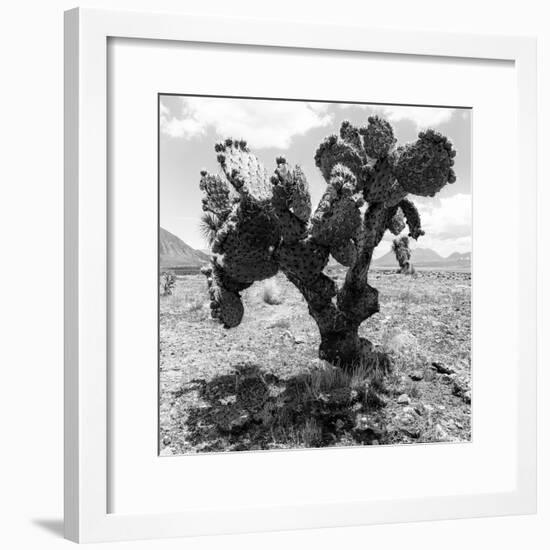 ¡Viva Mexico! Square Collection - Cactus-Philippe Hugonnard-Framed Photographic Print