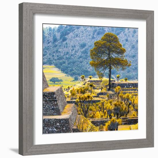 ¡Viva Mexico! Square Collection - Cantona Archaeological Ruins II - Puebla-Philippe Hugonnard-Framed Photographic Print