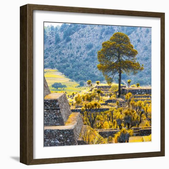 ¡Viva Mexico! Square Collection - Cantona Archaeological Ruins II - Puebla-Philippe Hugonnard-Framed Photographic Print