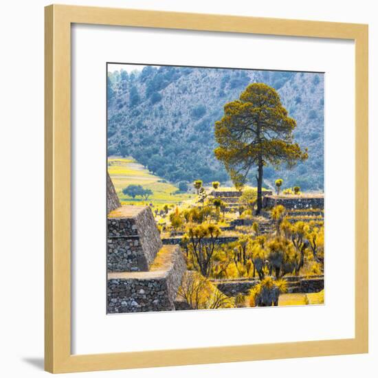 ¡Viva Mexico! Square Collection - Cantona Archaeological Ruins II - Puebla-Philippe Hugonnard-Framed Photographic Print