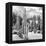 ?Viva Mexico! Square Collection - Cardon Cactus B&W II-Philippe Hugonnard-Framed Premier Image Canvas