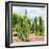 ¡Viva Mexico! Square Collection - Cardon Cactus II-Philippe Hugonnard-Framed Photographic Print