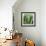 ?Viva Mexico! Square Collection - Cardon Cactus VIII-Philippe Hugonnard-Framed Photographic Print displayed on a wall