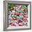 ¡Viva Mexico! Square Collection - Colorful Guanajuato VII-Philippe Hugonnard-Framed Photographic Print