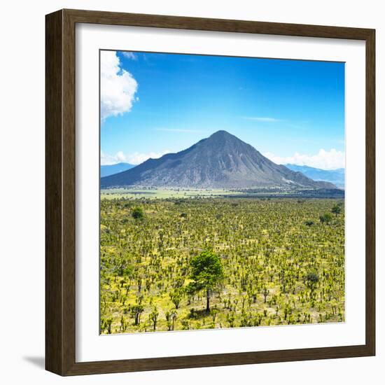 ¡Viva Mexico! Square Collection - Desert Landscape-Philippe Hugonnard-Framed Photographic Print