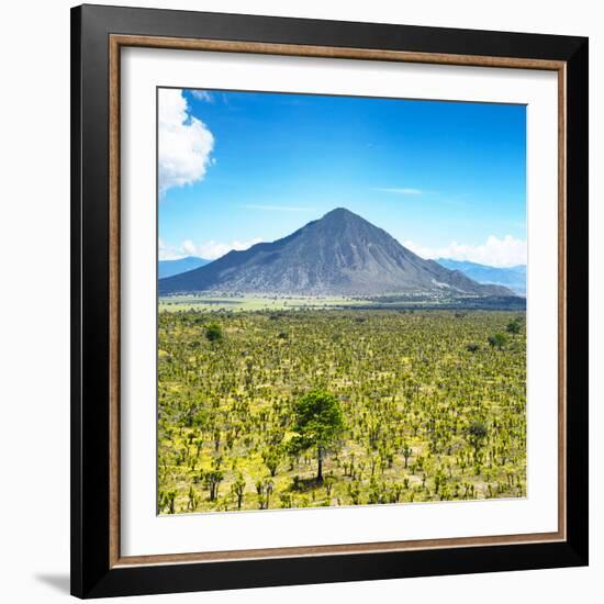 ¡Viva Mexico! Square Collection - Desert Landscape-Philippe Hugonnard-Framed Photographic Print