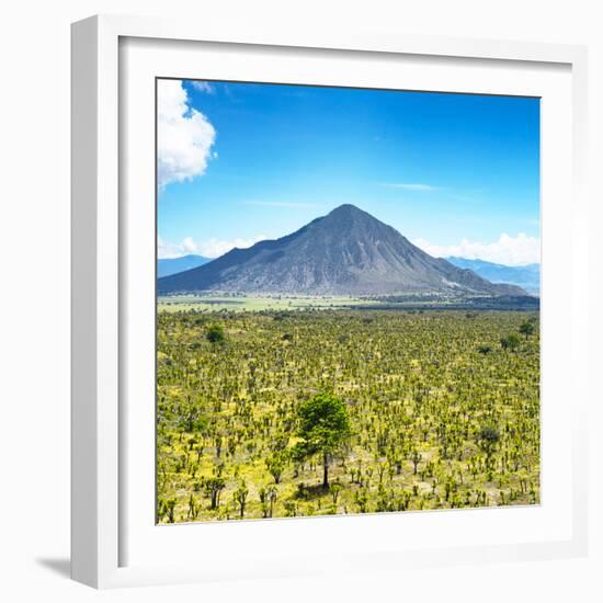 ¡Viva Mexico! Square Collection - Desert Landscape-Philippe Hugonnard-Framed Photographic Print