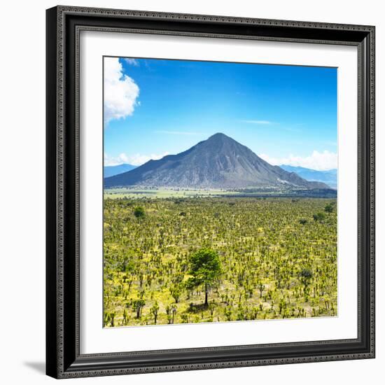 ¡Viva Mexico! Square Collection - Desert Landscape-Philippe Hugonnard-Framed Photographic Print