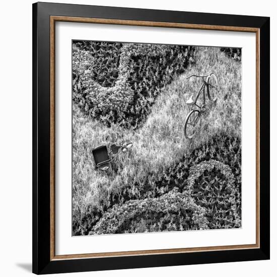 ¡Viva Mexico! Square Collection - Earth from above II-Philippe Hugonnard-Framed Photographic Print