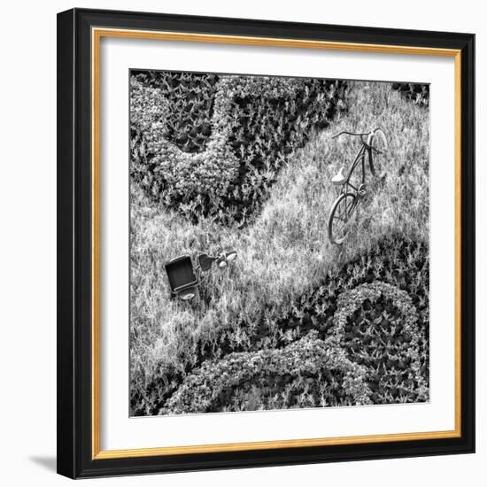 ¡Viva Mexico! Square Collection - Earth from above II-Philippe Hugonnard-Framed Photographic Print