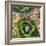 ¡Viva Mexico! Square Collection - Earth from above III-Philippe Hugonnard-Framed Photographic Print