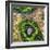 ¡Viva Mexico! Square Collection - Earth from above III-Philippe Hugonnard-Framed Photographic Print